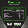 HEALTHADDICTION - Creatina Monohidratada en Polvo - Alta Pureza En