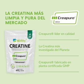 Wellthy Creatina Monohidratada Creapure® 615g. 100% Pura. Solo 1 Ingrediente Creatina Alemana Creapure®. Vegana, Sin Azúcar, 123 porciones, 5g por porción, Incluye Scoop. Pure. Proven. Perfect.