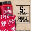 Creatina BSN por 309 g 60 servicios monohidrato