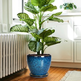 EPFamily 10 Inch Ceramic Planter Pot Round Plant Pot for Indoor Plants Outdoor Large Flower Pot with Drainage Hole and Saucer Blue