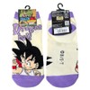 Small Planet Dragon Ball Son Goku Kamae Women's Character Socks,