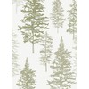 Illustrated Evergreen Forest Peel and Stick Wallpaper (Single Sheet -