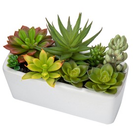 Artificial Succulents Plants in Ceramic Planter Assorted Faux Succulents in Pots Arrangement Fake Succulent Potted Plant for Home Office Desk Bathroom Shelf Living Room Indoor Outdoor Decor - Black