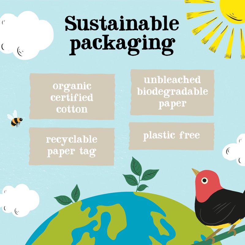 Clipper Organic Fennel Infusion 20 Teabags (Pack of 6, Total