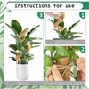 3 Pack 70 cm Moss Stick, Monstera Trellis, Plant Support