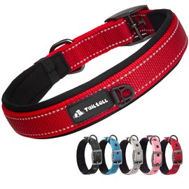 Collar resistente para perros pequeños, medianos y grandes, collares clásicos de perro resistentes con anillo de etiqueta, collar de perro con...     