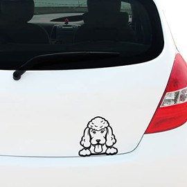 Peeking Poodle Dog Vinyl Decal Sticker for Car Window Bumper Pet Dog Puppy, Caravan Sticker, Laptop Sticker, 140mm