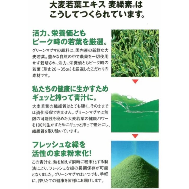 Green Magma Green Barley Leaf Extract, 6.0 oz (170 g)