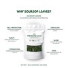 Wild Soursop Leaves – 100% Natural | Sun-Dried Herbal Tea