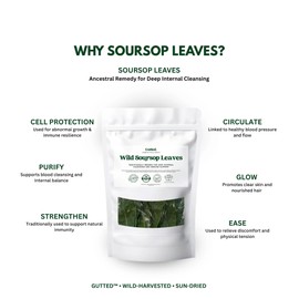 Wild Soursop Leaves – 100% Natural | Sun-Dried Herbal Tea - 100 Large Leaves- Premium Quality