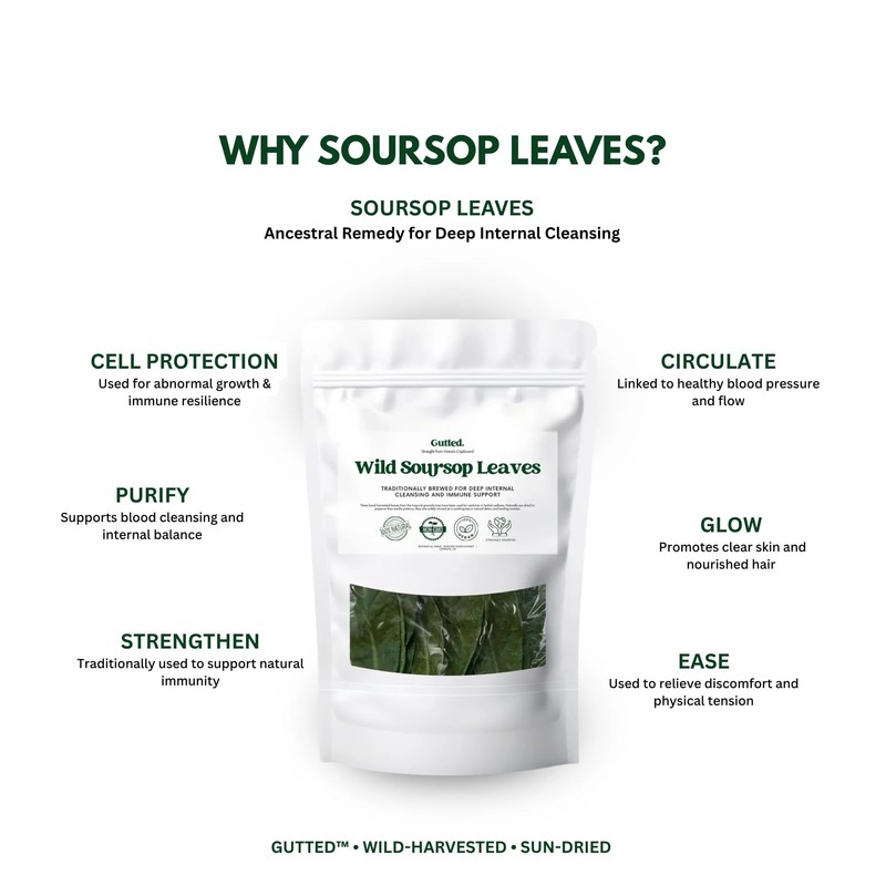 Wild Soursop Leaves – 100% Natural | Sun-Dried Herbal Tea