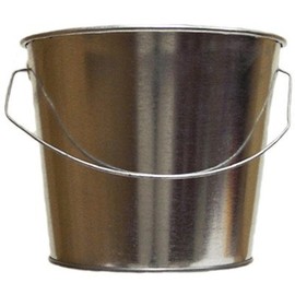 Galvanized Products 5 Quarts Pail