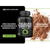Sea Moss Complex 14,000mg Extract Including Bladderwrack & Burdock Root