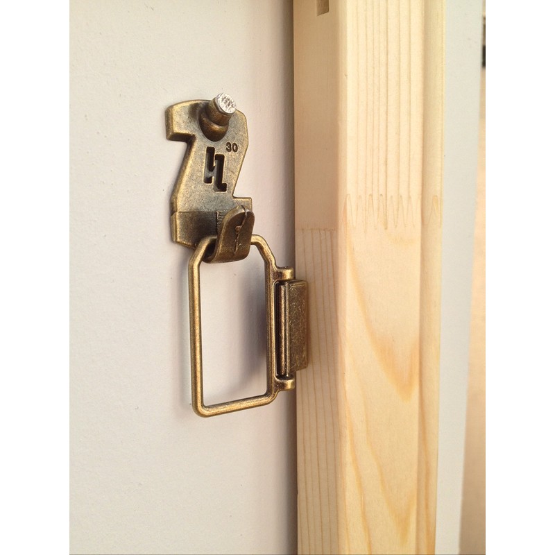 HangZ 11031 Flat Mount 2-Hole D-Ring Picture Hanger Kit, 30lb