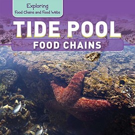 Tide Pool Food Chains