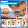 Rotatingpals 9 Pcs Marine Life Specimen Set Ocean Animal Insect