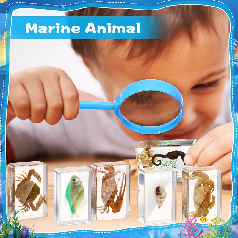 Rotatingpals 9 Pcs Marine Life Specimen Set Ocean Animal Insect