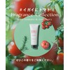 [2025 Summer Limited] Botanist Hair Mask, Daily Damage Repair, Fruit