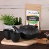 Your ExcellenTEA - Cistus Incanus Herbs Loose Tea Loose Leaf