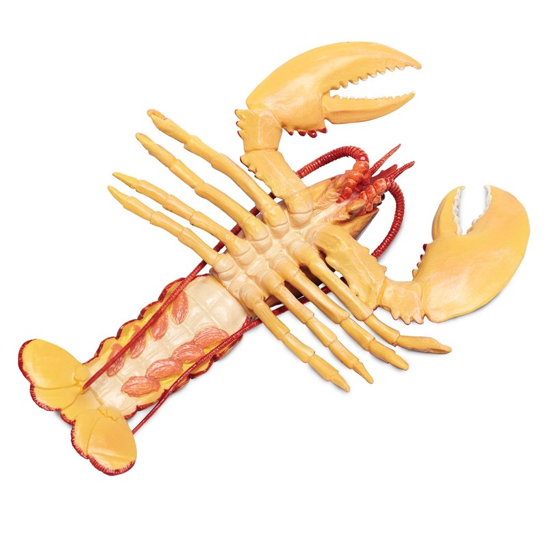 Toob "Safari Incredible Creatures Maine Lobster" Miniature (Multi-Colour)