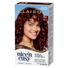 Clairol Nice 'N Easy 4BG Dark Burgundy