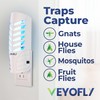 VEYOFLY Fruit Fly Traps for Indoors, Fly Trap Indoor, (2