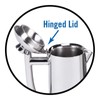 Frieling USA Platinum 18-Ounce Beverage Server - Stainless Steel Coffee