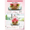 Preserved Flower IPFA Glass Dome Elegance Premium Wedding Gift Birthday