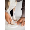 Pearhead Clay Pawprint Christmas Ornament, Pet Owner Holiday Gift, Dog