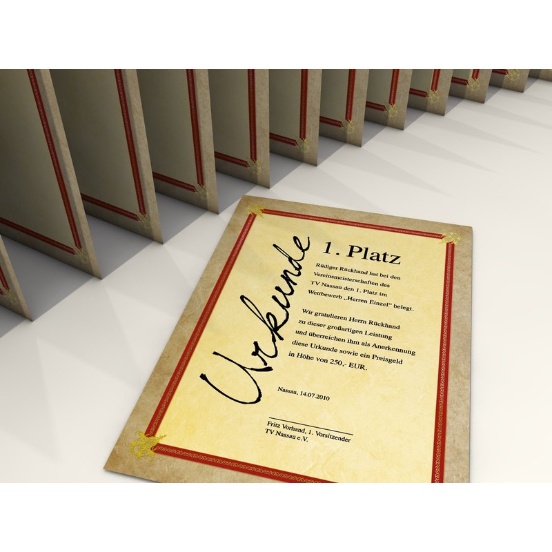 Success 10 Sheets of Motif Paper for documents, certificates etc..,