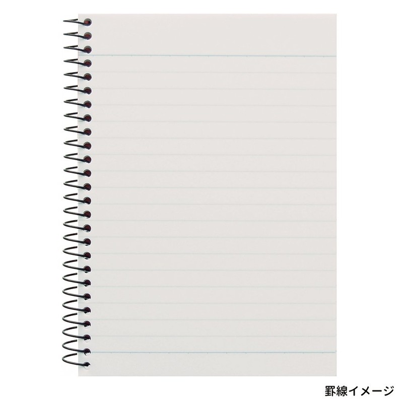 Maruman N670A-02 Spiral Notebook, 0.2 inch (6 mm) Horizontal Rule,
