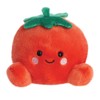 AURORA, 33792 Palm Pals Byod Tomato Soft Toy, Red, 5In