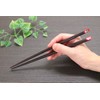 Fighters 佑 Chopsticks Zodiac Chopsticks Dragon 23 cm