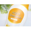 Nagara Chemical AQUA Shampoo 10.1 fl oz (300 ml)