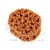 Large Sea Sponges for Artists, Unbleached Texture Sponge Texture Patch