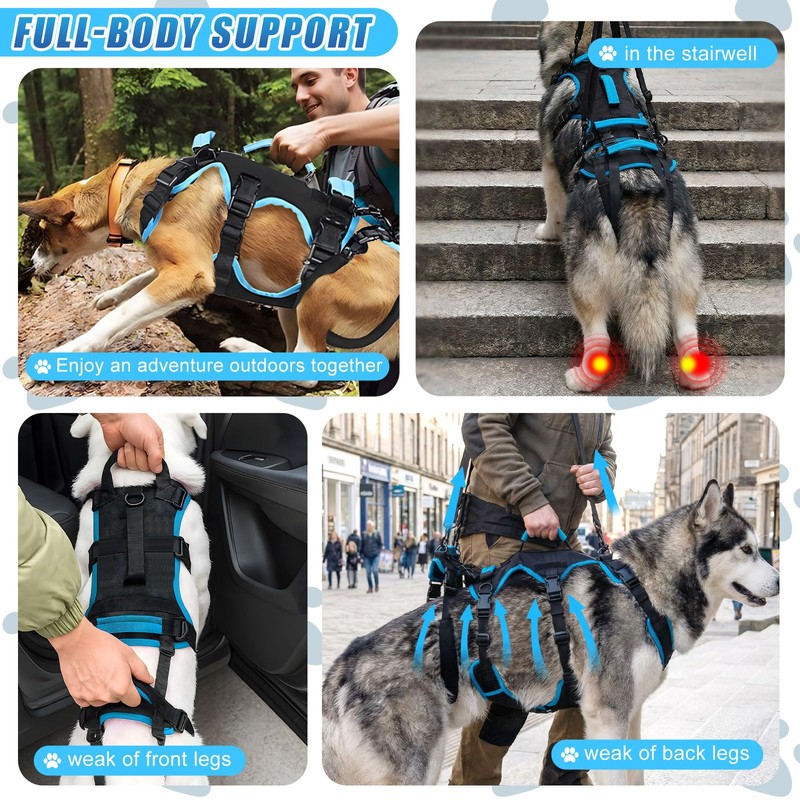Yeyeplum Dog Lift Harness for Large Male Dogs, 2-in-1, Back