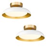 kudos White and Gold Ceiling Light Fixture 2 Pack, LED