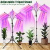 KEELIXIN 5 Head Spectrum Grow Light with Adjustable Stand and