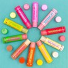 Lip Smacker Original & Best Party Pack - 10 Moisturizing