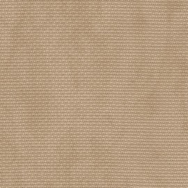 Zweigart 20-Ct. Aida Cloth-18 X 21 inch Needlework Fabric