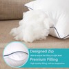 Ichrysania 18x18 Inch Pillow Inserts Set of 2-100% Cotton Cover,