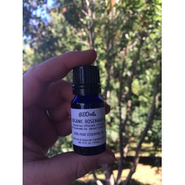 Organic Rosemary Essential Oil from Morrocco, Rosmarinus Officinalis 10 mL, Euro Dropper