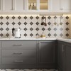 Rergy 10 Pack 10 Inch Brushed Nickel and Gold Cabinet