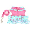 Zunea Small Dog Girl Harness and Lead Set No Pull