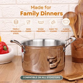 Homegrown Stainless Steel Stockpot, High-Grade Triply