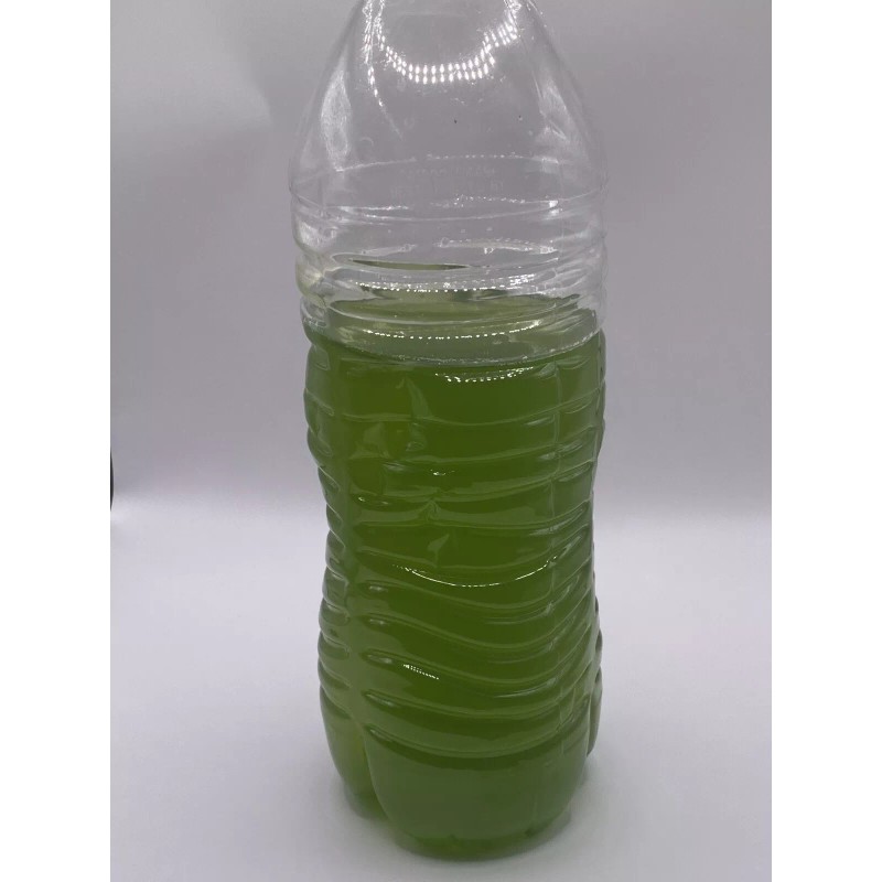 Algaeo Chlorella Vulgaris (Live Algae Culture) 100ml.