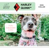 Sassy Woof Dog Collar Harley Quinn™ - S, Adjustable, Durable,
