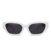 AOOLIA Retro Cateye Sunglasses Women Men Trendy Polarized Shades Sunnies