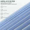 2 Pack DH-JH01/JH06 True HEPA Replacement Filter Compatible with CONOPU