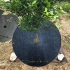DOITOOL Pack of 20 Garden Weed Mats Biodegradable Mulching Ring